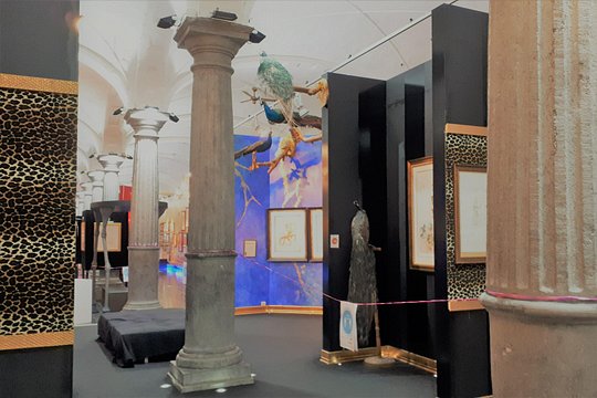 Tour image 5